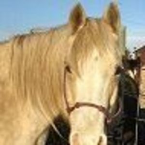 Meet your Posher, Connie